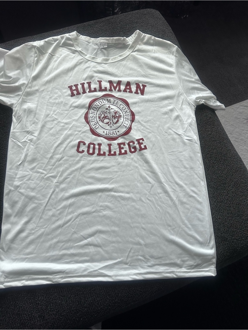 Hillman College White Graphic Tee - College Crest Print